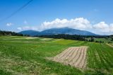 20150507-AJ015520.jpg